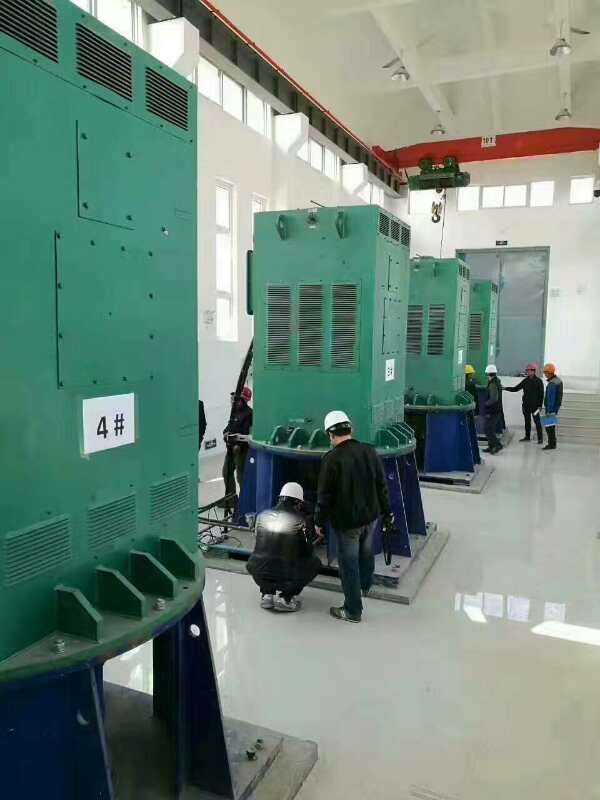 蔡甸某污水处理厂使用我厂的立式高压电机安装现场